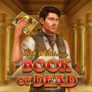 Machine à sous Book of Dead (Play'n GO)